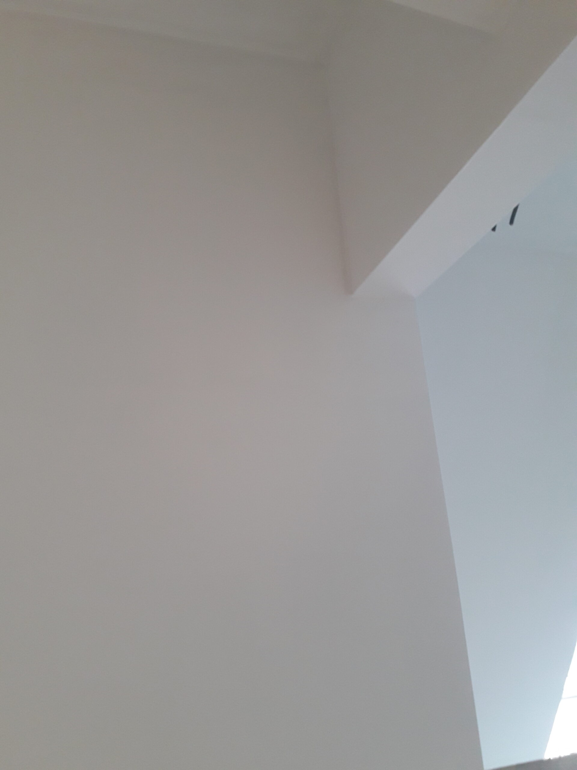 gallery grid image
