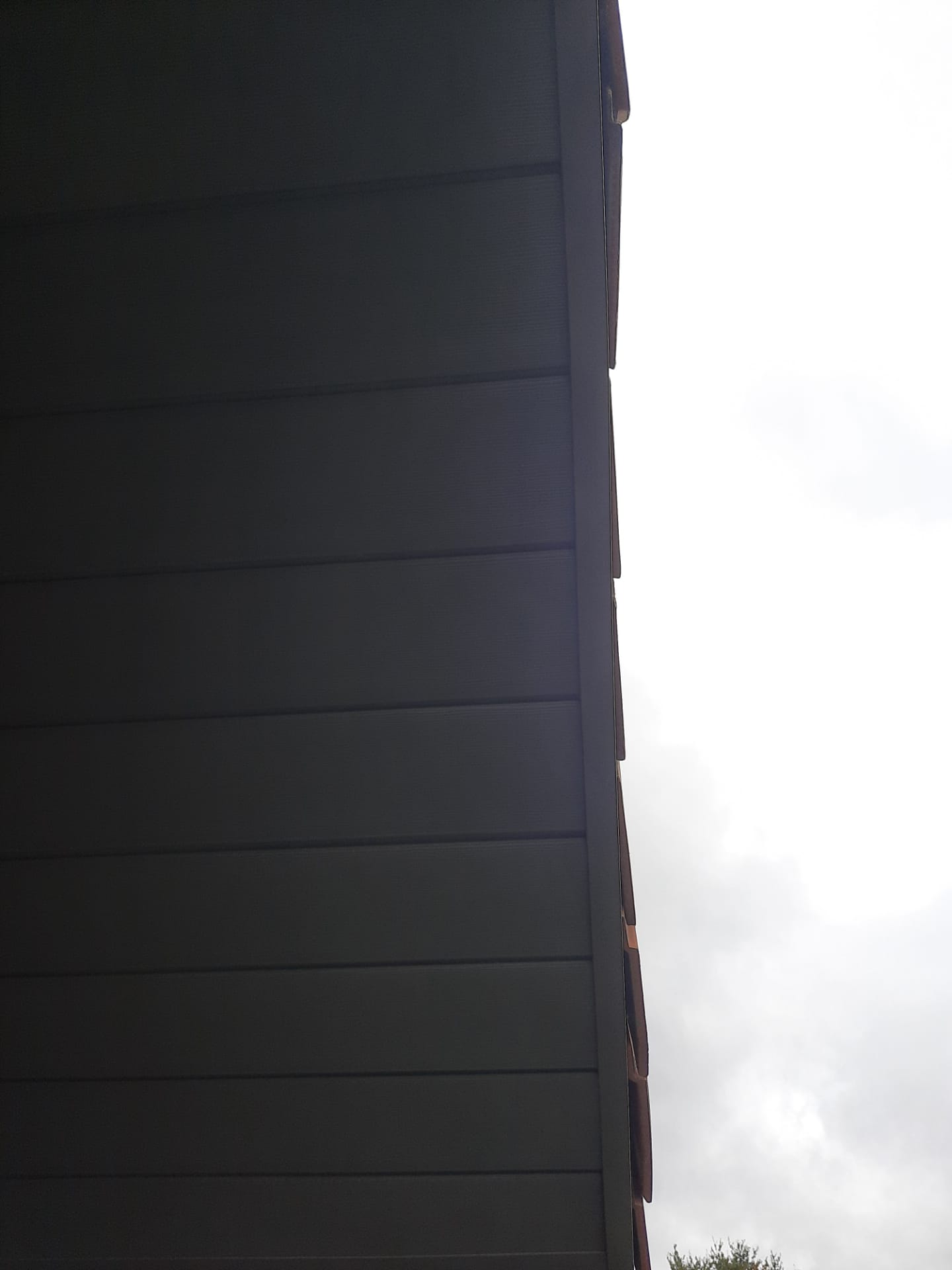 gallery grid image